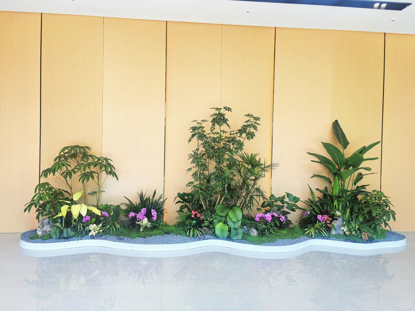 专业北仑花卉出租,让空间瞬间绽放别样生机